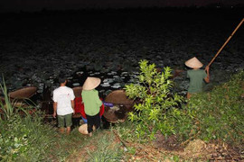 Trà cổ Hà Nội ướp từ sen có giá 7 triệu/kg có gì đặc biệt?