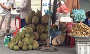 Sầu riêng, măng cụt 'nhí' giá rẻ hút khách