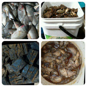 Vì sao dân Hà Nội tranh nhau mua cá thối cuối chợ?