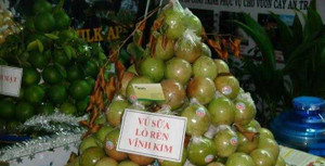 6 loại quả không sợ bị hàng Trung Quốc 'đội lốt'