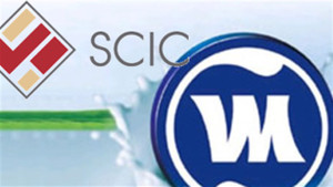 SCIC sẽ bán Vinamilk giá bao nhiêu?