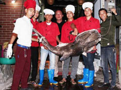 Những con cá khổng lồ giá cao bao nhiêu cũng bán hết