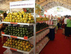 Đặc sản sạch đổ về Sài Gòn