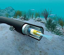 Ba tuyến cáp quang biển đồng loạt gặp sự cố, Internet chập chờn