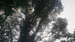 Bỏ loa phường, ngân sách Hà Nội tiết kiệm được bao nhiêu?