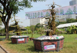 Cặp khế kiểng giá 12 tỷ tại chợ hoa Sài Gòn