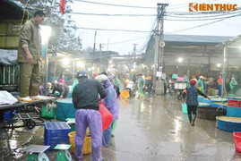 Chợ cá Hà Nội tấp nập trước ngày cúng ông Công ông Táo