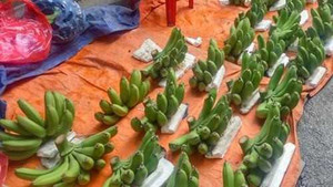 Cận Tết, chuối xanh tăng giá 10 lần