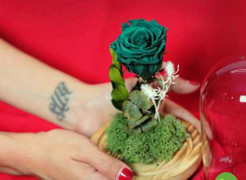 Ngày Valentine: Hoa hồng 'tươi mãi mãi' gần triệu đồng một bông