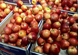 Táo Pháp rẻ như rau chợ, nhà giàu Việt sính ngoại ăn quả lừa