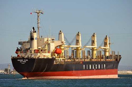 Lỗ hơn 200 tỷ đồng, vận tải biển đổ lỗi cho ngành gạo