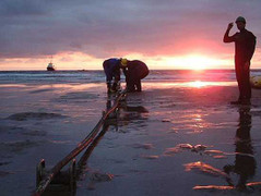 Tiếp tục dính lỗi mới, thời hạn khôi phục cáp Liên Á chưa được xác định