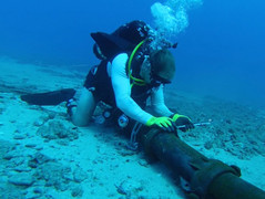 Cáp quang biển sẽ khôi phục vào ngày 25/3, Internet Việt Nam vẫn chập chờn