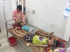 Hơn 50 học sinh tiểu học bị ngộ độc vì ăn quả ngô đồng