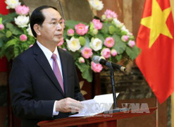 Chủ tịch nước trao quyết định bổ nhiệm Phó Chánh án, Thẩm phán Tòa án nhân dân tối cao