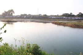 Rủ nhau đi tắm sông, ba cháu bé tử vong