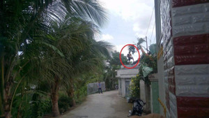 Thanh niên nghi ngáo đá leo lên nóc nhà cố thủ 10 giờ đồng hồ