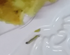 Con đăng clip bánh Trung thu có dòi, mẹ phải xin lỗi, bồi thường 12 triệu đồng