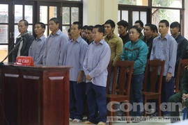 Phá rừng pơmu chấn động Quảng Nam: Xét xử Phó đồn Biên phòng cùng 20 bị cáo