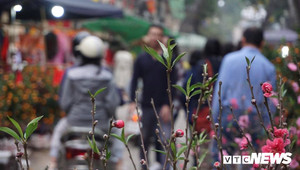 Nhiều chợ hoa ở Hà Nội vẫn 'đắt khách' chiều 30 Tết