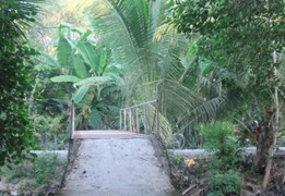 Tức giận vì bị đánh, cô gái trẻ đâm chết bạn trai