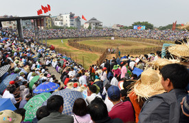 Công đức 300 nghìn đồng mới được vào xem chọi trâu Hải Lựu