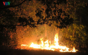 Biển lửa bao trùm khu bảo tồn thiên nhiên Tà Cú, Bình Thuận