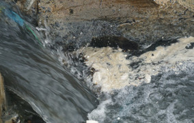 Rùng mình nước thải đen ngòm, hôi thối ồ ạt đổ ra biển Đà Nẵng