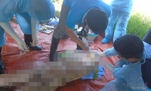 Khai quật tử thi nữ kế toán bệnh viện ở Nghệ An: Còn nguyên vẹn sau 6 năm chôn cất