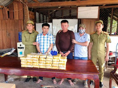 Triệt phá đường dây vận chuyển ma túy lớn nhất từ trước đến nay ở Quảng Trị