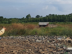 'Hô biến' gần 4 ha đất công thành đất của em ruột phó chủ tịch xã ở Đồng Nai