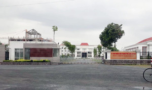 Giám đốc Sở Nội vụ: 'Không có chuyện con gái chủ tịch An Giang được bổ nhiệm thần tốc'