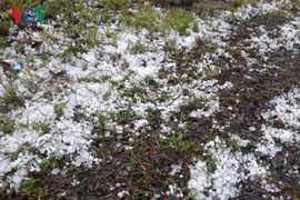 Mưa đá, giông lốc tàn phá hoa màu và tài sản tại Lai Châu