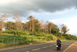 'Ăn' 40ha đất rừng bị kỷ luật, nguyên Thường vụ Tỉnh ủy vẫn nhận huân chương lao động