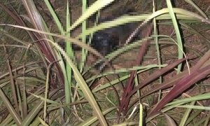 Sau 3 ngày mất tích bí ẩn, thi thể người đàn ông được phát hiện dưới vực sâu