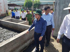 Xả thải đen kịt, hôi thối trực tiếp ra sông, công ty mía đường ở Hậu Giang phải ngừng sản xuất