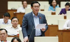 Phó thủ tướng: Kiểm toán Nhà nước có thể vào cuộc vụ giá điện