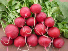 Thực phẩm bổ dưỡng không kém nhân sâm nhiều người bỏ qua