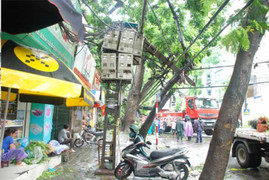 3 tỉnh mất điện hoàn toàn do bão số 1: Vẫn chưa khắc phục xong