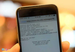 Hacker tấn công Vietnam Airlines xâm nhập website Đại học Kinh tế Quốc dân