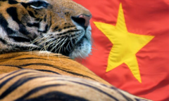 Báo nước ngoài: Việt Nam là 'con hổ Châu Á' mới đang trỗi dậy