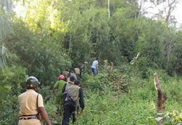 Rúng động thảm án mẹ đẻ sát hại 3 con, đốt nhà rồi trốn vào rừng