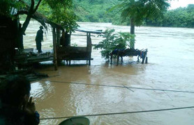 Sau bão số 3, 200 hộ dân ở Nghệ An bị lũ cô lập