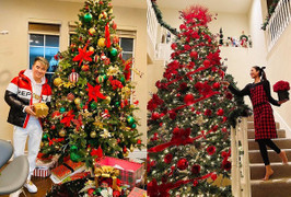 Đàm Vĩnh Hưng, Phạm Hương và loạt sao Việt trang trí biệt thự đón Giáng Sinh