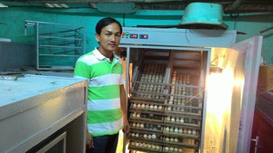 Cận cảnh chiếc máy ấp trứng tự động của nông dân người Huế