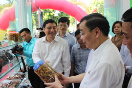 Nghệ An khai trương Điểm kết nối cung – cầu công nghệ vùng Bắc Trung bộ