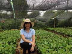 Vị ‘bác sĩ’ của cây hồ tiêu