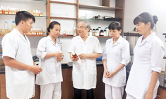Tận dụng vùng đất hạn, mặn để thu tinh dầu sả