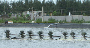 Công nghệ mới trong lọc nước nuôi tôm