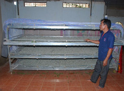 Giàn khay trượt nuôi tằm của anh nông dân Lâm Đồng